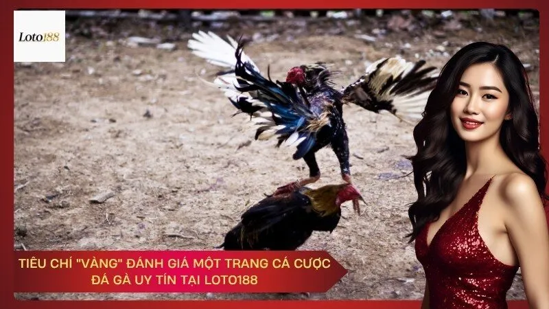 Tiêu Chí "Vàng" Đánh Giá Một Trang Cá Cược Đá Gà Uy Tín Tại Loto188