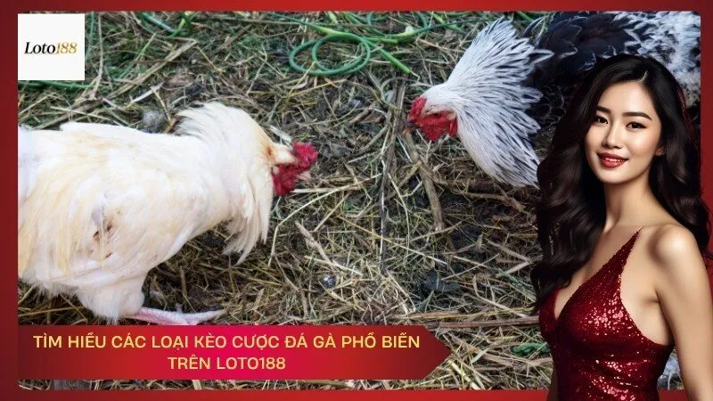 Tìm Hiểu Các Loại Kèo Cược Đá Gà Phổ Biến Trên Loto188